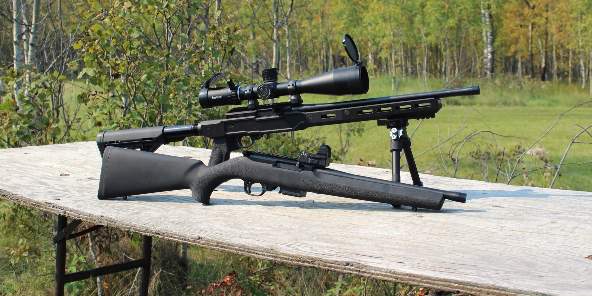 BALLISTICS - tnbi DANGEROUS GAME 458 WINCHESTER MAGNUM BARNES TSX